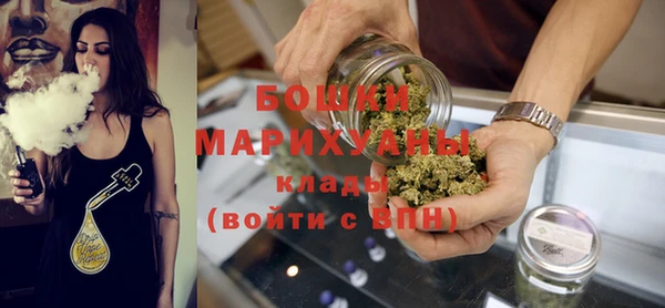 гидра Мегион