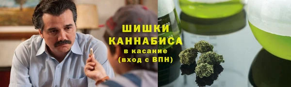 гидра Мегион