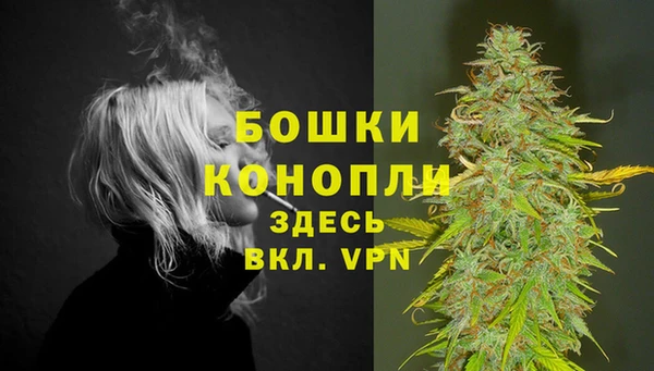 гидра Мегион