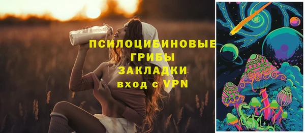 винт Медвежьегорск