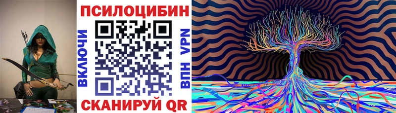 Псилоцибиновые грибы GOLDEN TEACHER  Купить  Снежинск 