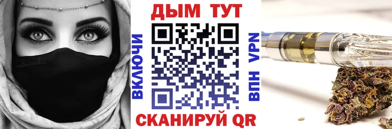 Купить закладки  Снежинск  Бошки марихуана SATIVA & INDICA 